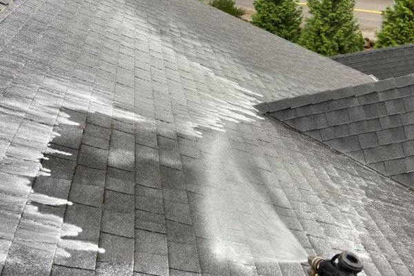 Roof Cleaning service in Vancouver Washington 2